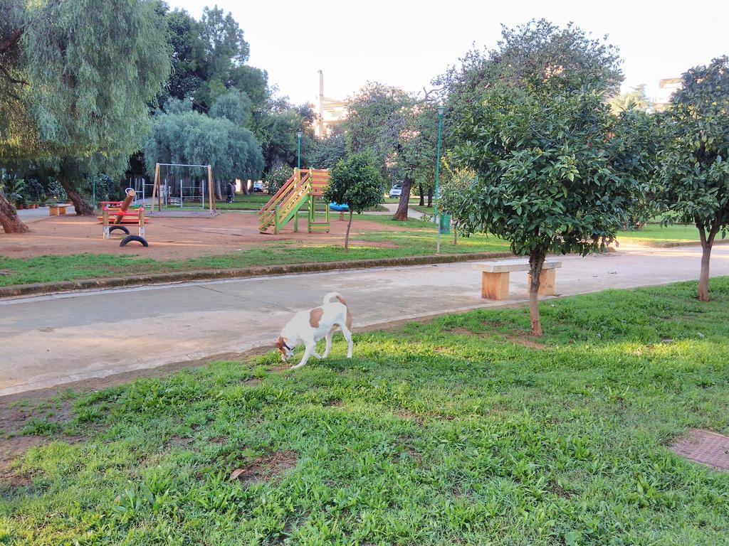 120 Rodionoff Downtown - Connection With Airport And Mondello Beach Palermo Buitenkant foto